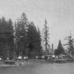 view of squatter's shacks on the shore of Deadman's Island, 1898