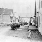 Roaming cattle block tramway – October 30, 1893