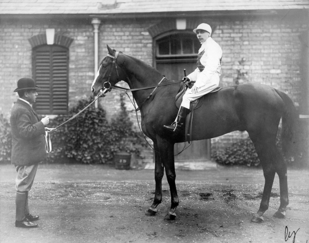 1889 photograph of horse "Forfarshire"